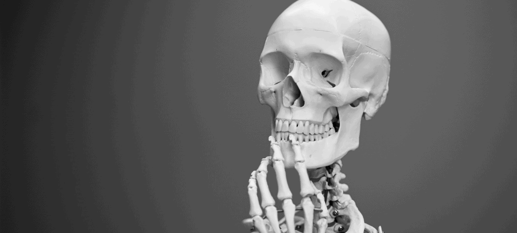 Do crânio flexível aos dentes ocultos: como se formam ossos e dentes dos bebês Do crânio flexível aos dentes ocultos: como se formam ossos e dentes dos bebês