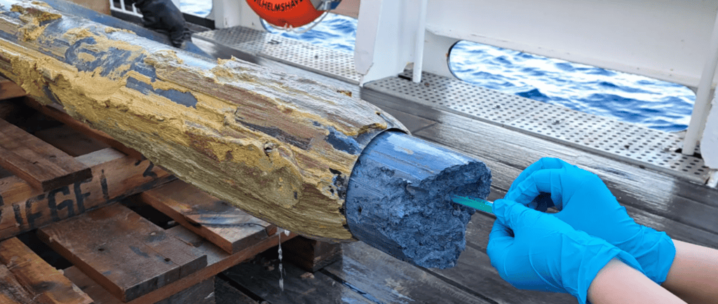 Microrganismos desafiam pH 12 no fundo do mar e revelam limites da vida em novo estudo alemão Microrganismos desafiam pH 12 no fundo do mar e revelam limites da vida em novo estudo alemão