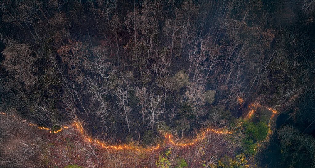 Amazônia registra seca recorde e mais de 7 mil focos de fogo em município paraense, apesar da queda no desmatamento Amazônia registra seca recorde e mais de 7 mil focos de fogo em município paraense, apesar da queda no desmatamento