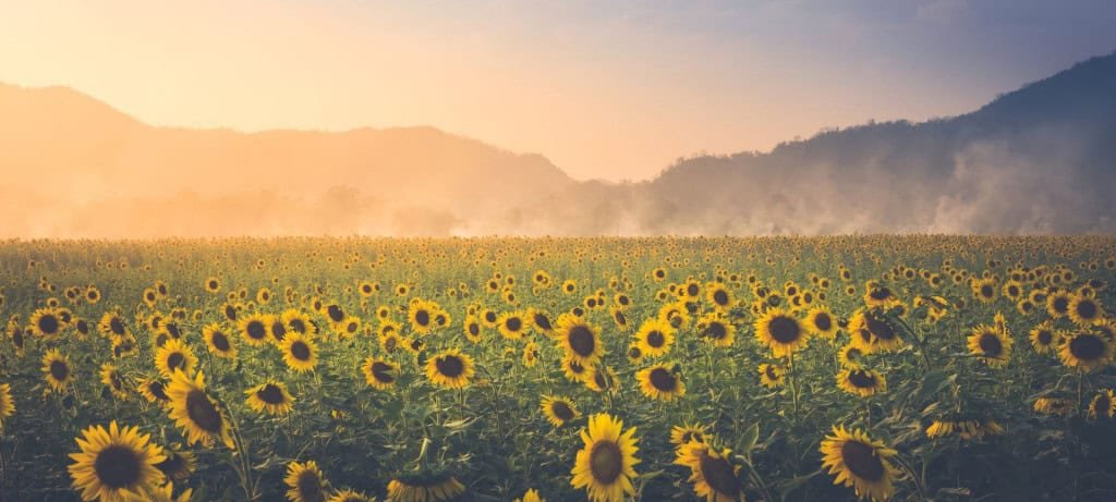 Satélites espelhados da Reflect Orbital ameaçam ampliar a poluição luminosa global Satélites espelhados da Reflect Orbital ameaçam ampliar a poluição luminosa global