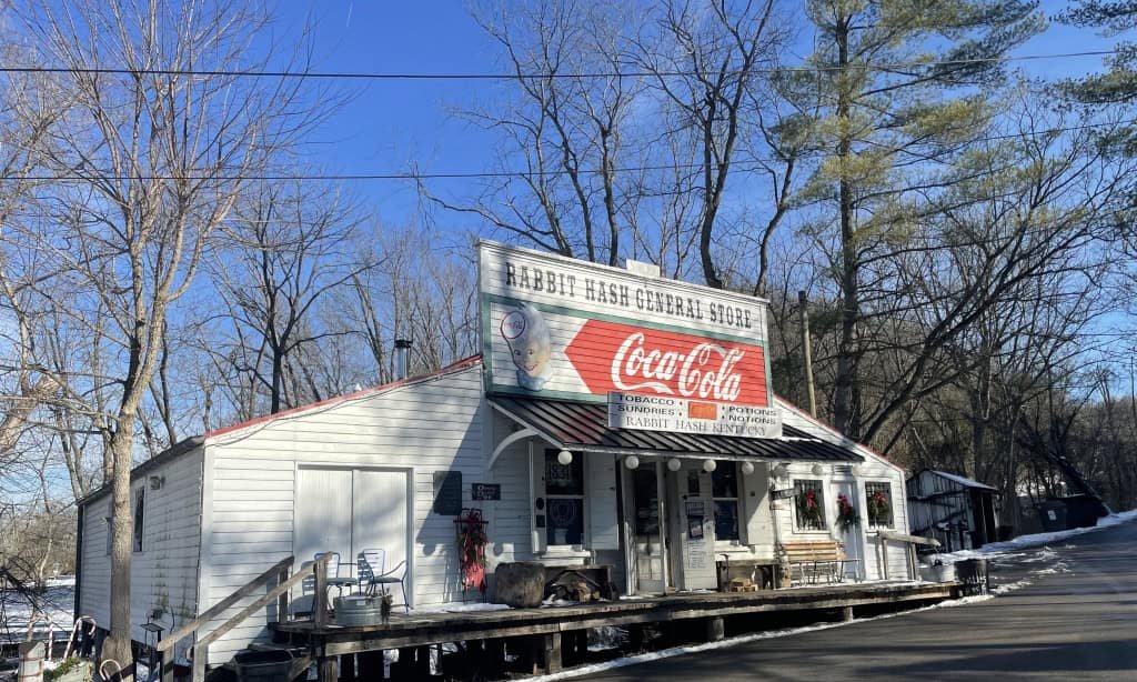Boone, o Bluetick Coonhound que assumiu a prefeitura de Rabbit Hash e quebrou recorde de votos na tradição canina do Kentucky