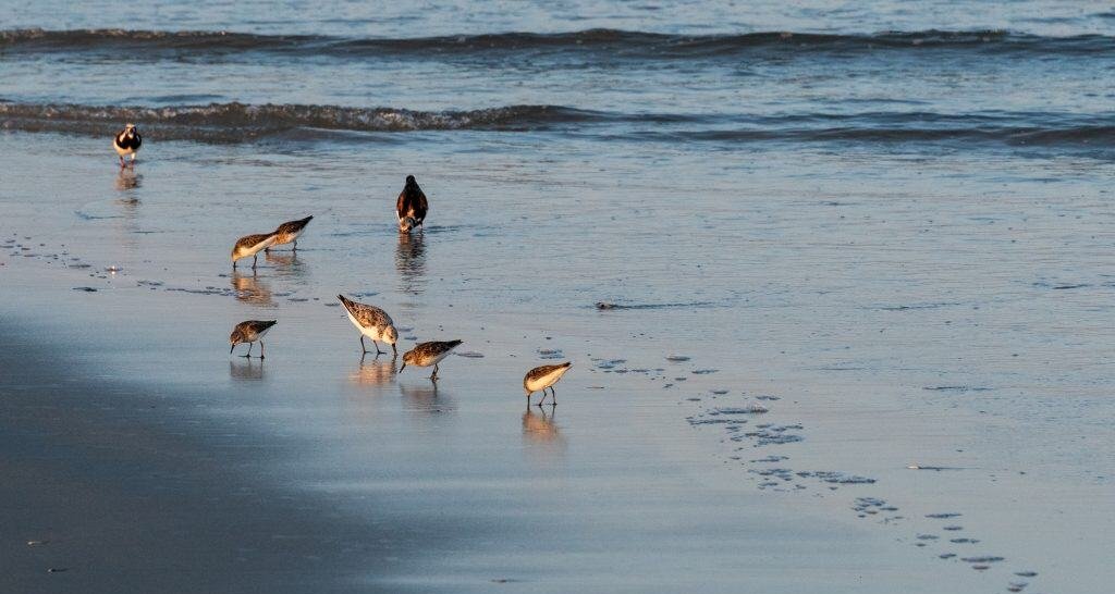 Humanos demonstram “sétimo sentido” ao detectar objetos sem contato direto, indica estudo britânico