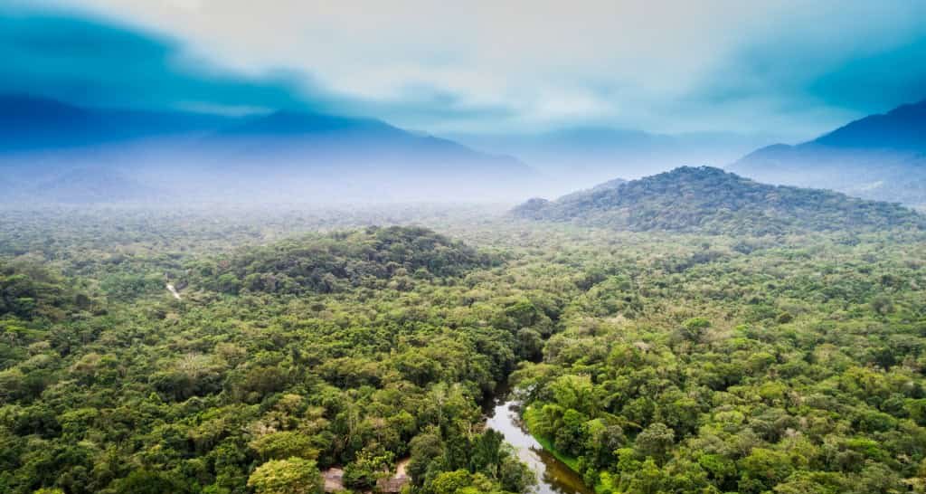 Países amazônicos lançam aliança para descarbonizar e integrar transporte regional Países amazônicos lançam aliança para descarbonizar e integrar transporte regional