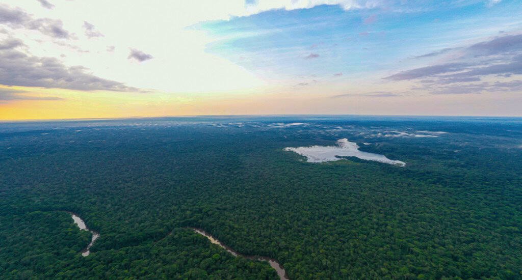 Calor sem precedentes nos lagos amazônicos atinge 41 °C e provoca mortandade de botos e peixes durante seca de 2023